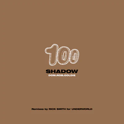 Cover artwork for SHADOW100R2